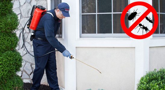 Yayladere Bit İlaçlama böcek ilaçlama ve haşere kontrolü — ilaclama-tr.com